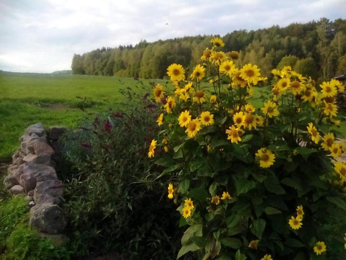 Apartamento U tátovy lípy Jívka Exterior foto